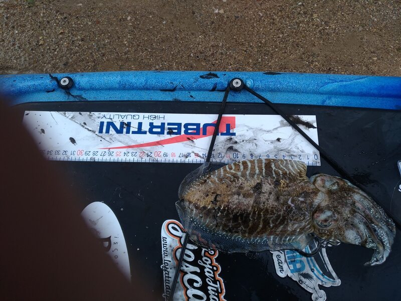 Fish Measure Picture
